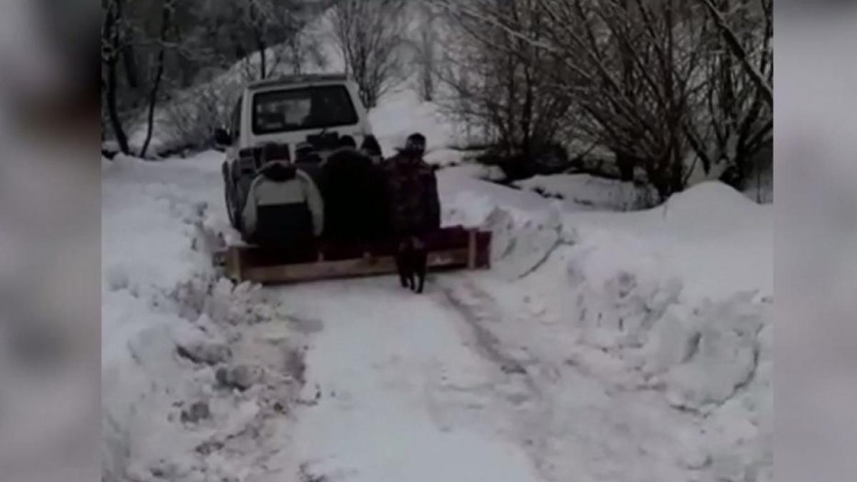 metoda inedita de deszapezire intr un sat din hundoara