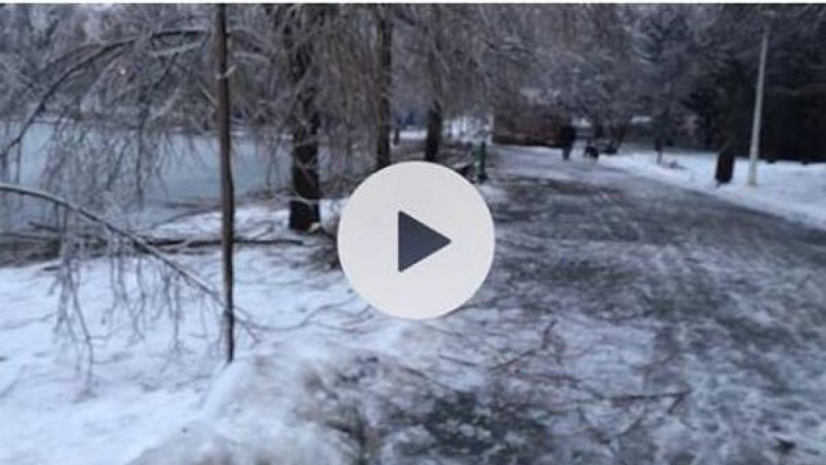 claudiu s a plimbat sambata dupa amiaza prin parcul ior ce i a fost dat sa vada video