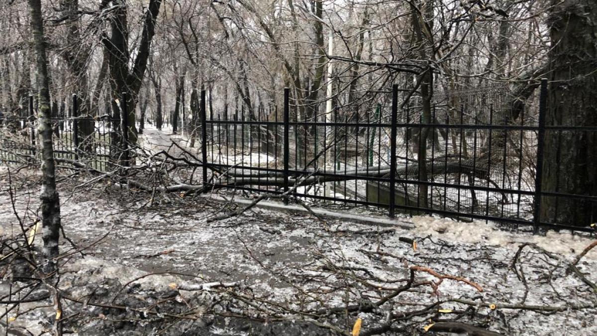 imagini de cosmar pe strazile din capitala din cauza ploii inghetate copaci cazuti pe jos masini