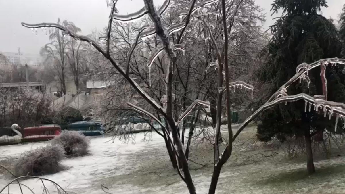 incident bizar in bucuresti victor a iesit intr un parc in aceasta dupa amiaza sa admire peisajul