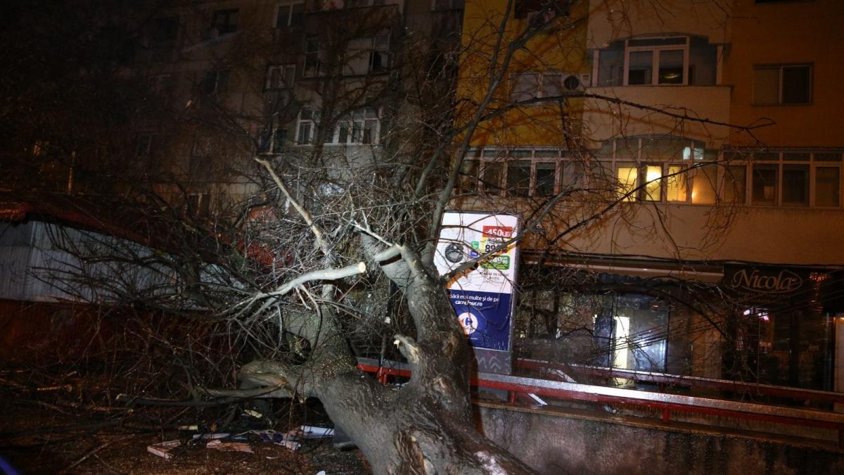 un copac s a prabusit peste o femeie in capitala victima a fost transportata de urgenta la spital