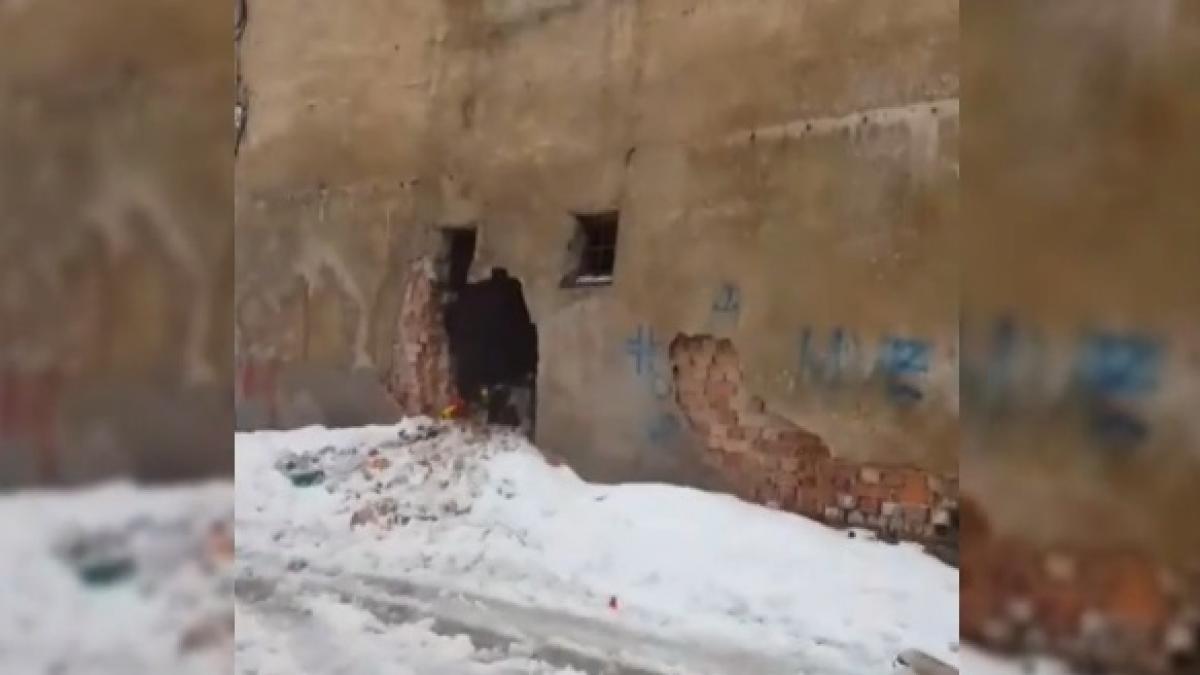 carmen se plimba pe strazile orasului cand in fata unui bloc a zarit ceva absolut naucitor nu se