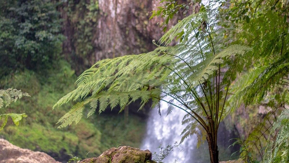 cea mai curata apa din lume se afla in romania