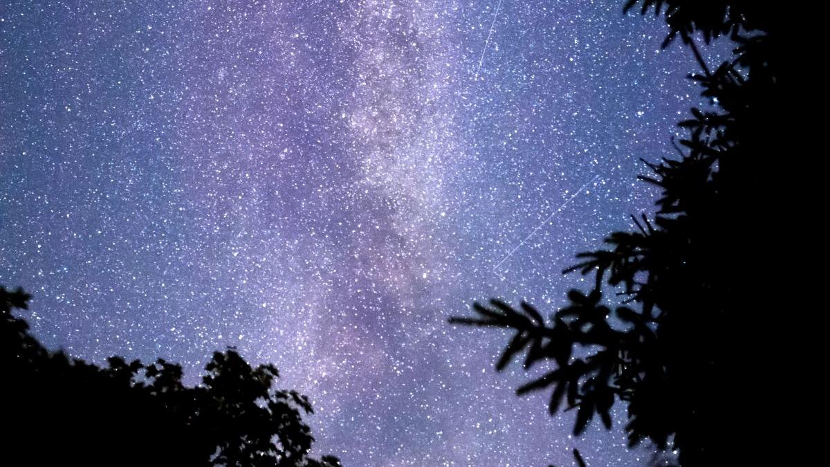 horoscop zodia care starneste invidia tuturor este considerata cea mai inteligenta