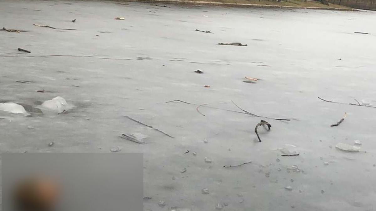 andrei se plimba duminica prin parcul ior cand a zarit ceva macabru aproape de mal dumnezeule