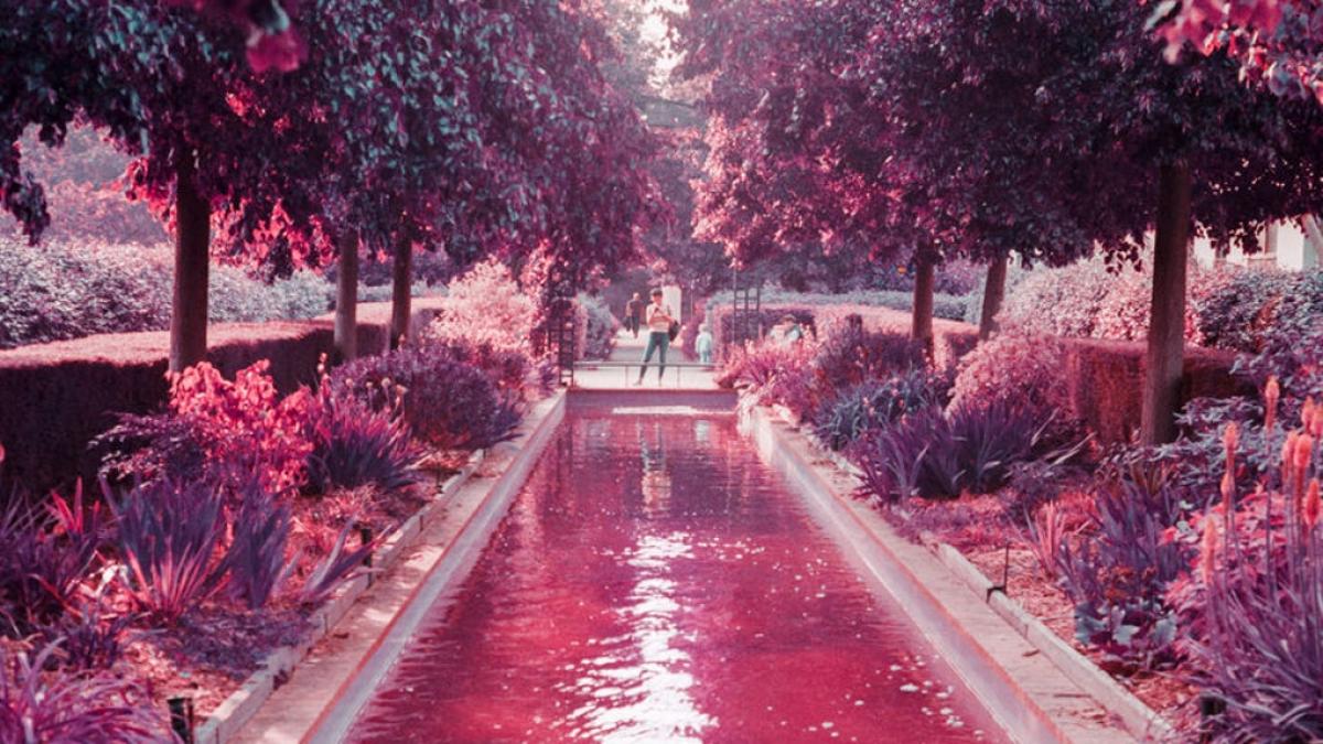 horoscop marte intra in zodia taurului de valentine s day cum iti schimba toata energia