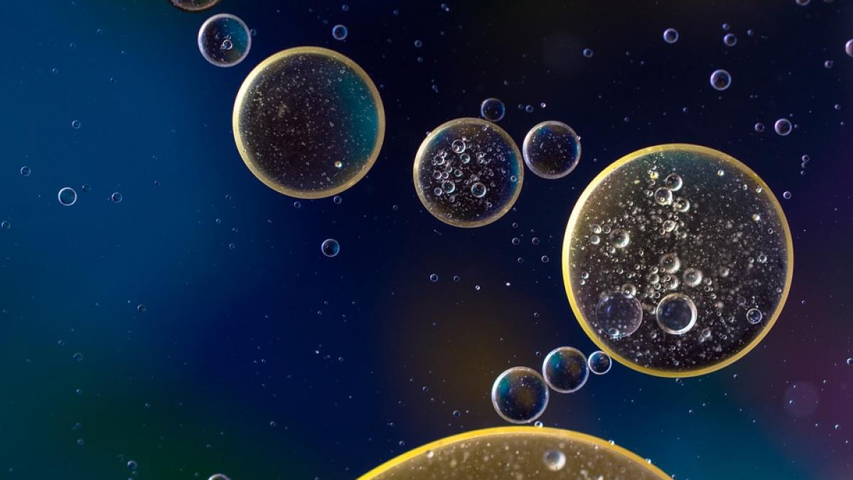 virusul pe care il are jumatate din populatia lumii acesta poate cauza diabetul si obezitatea