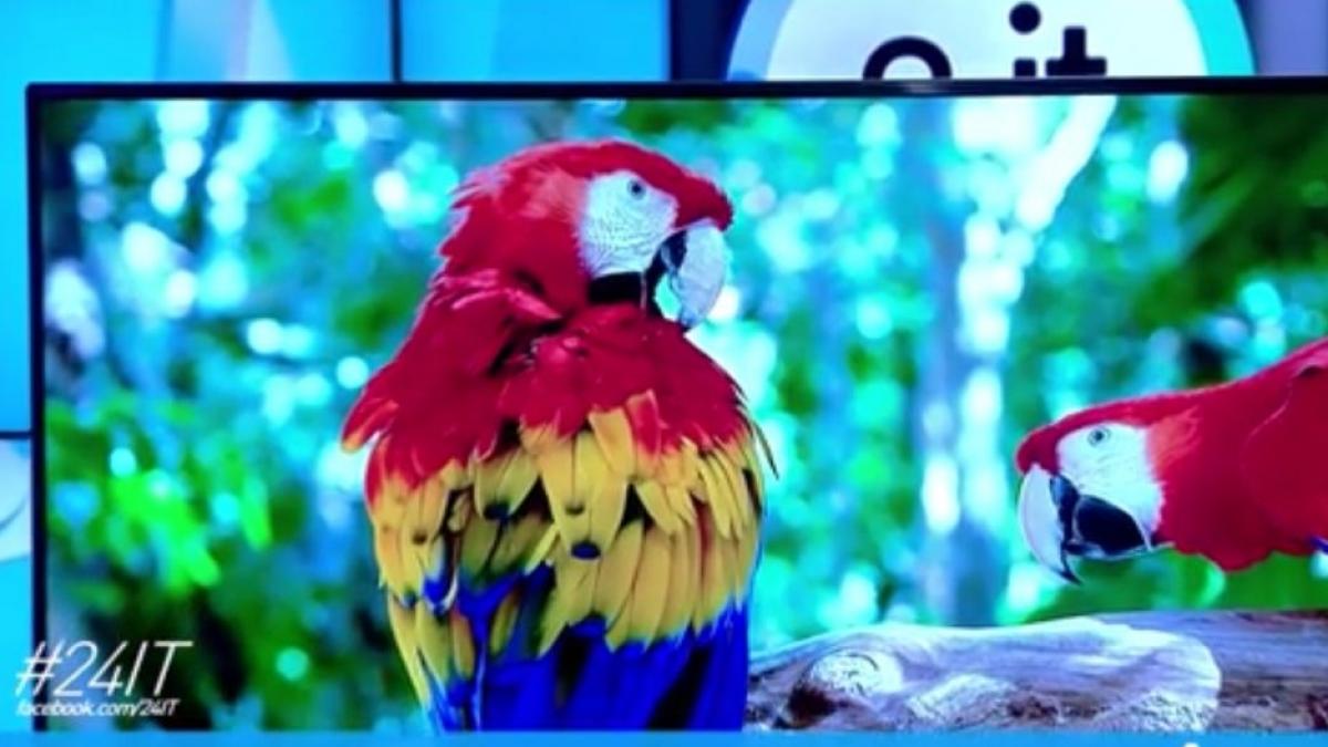 24 it televizor smart cu adn romanesc