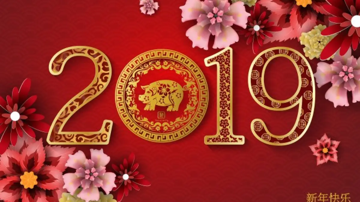 horoscop chinezesc 2019 gata incepe anul porcului de pamant previziuni generale sobolanii un an