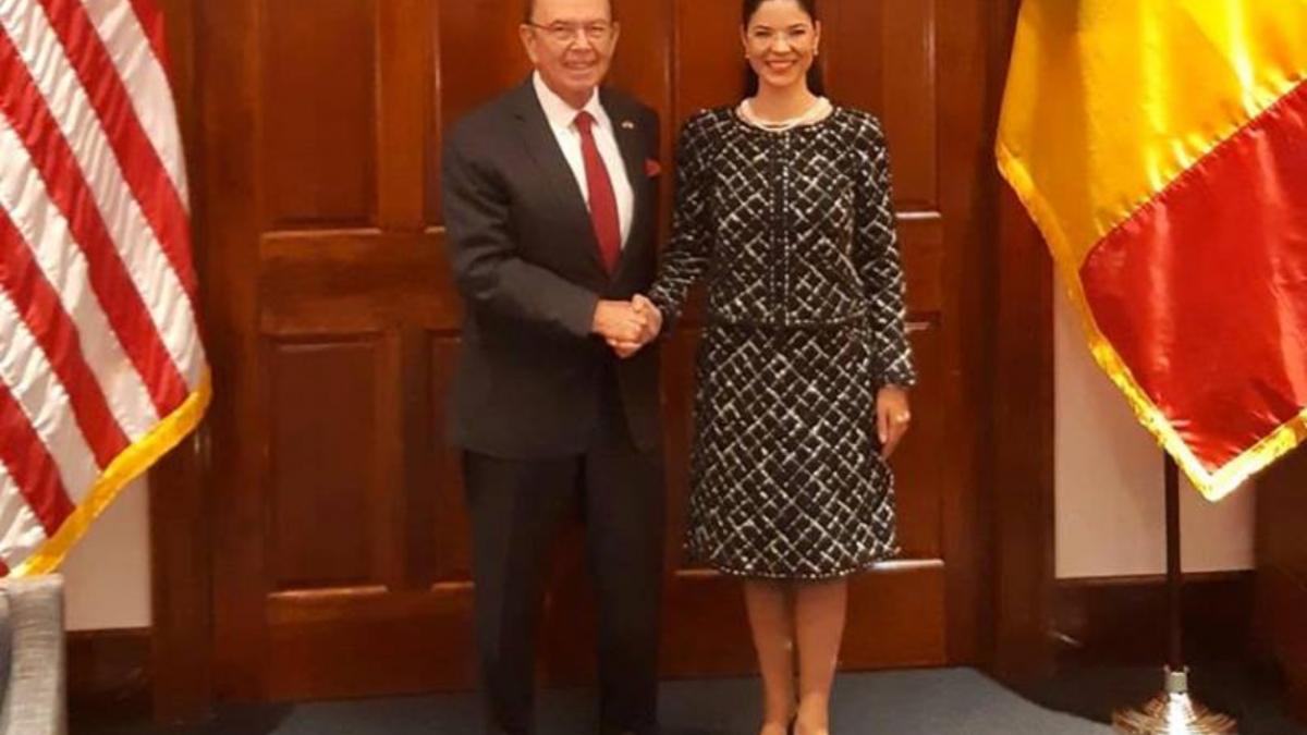 vicepremierul ana birchall mesajul sua este foarte clar de sustinere a intereselor comune