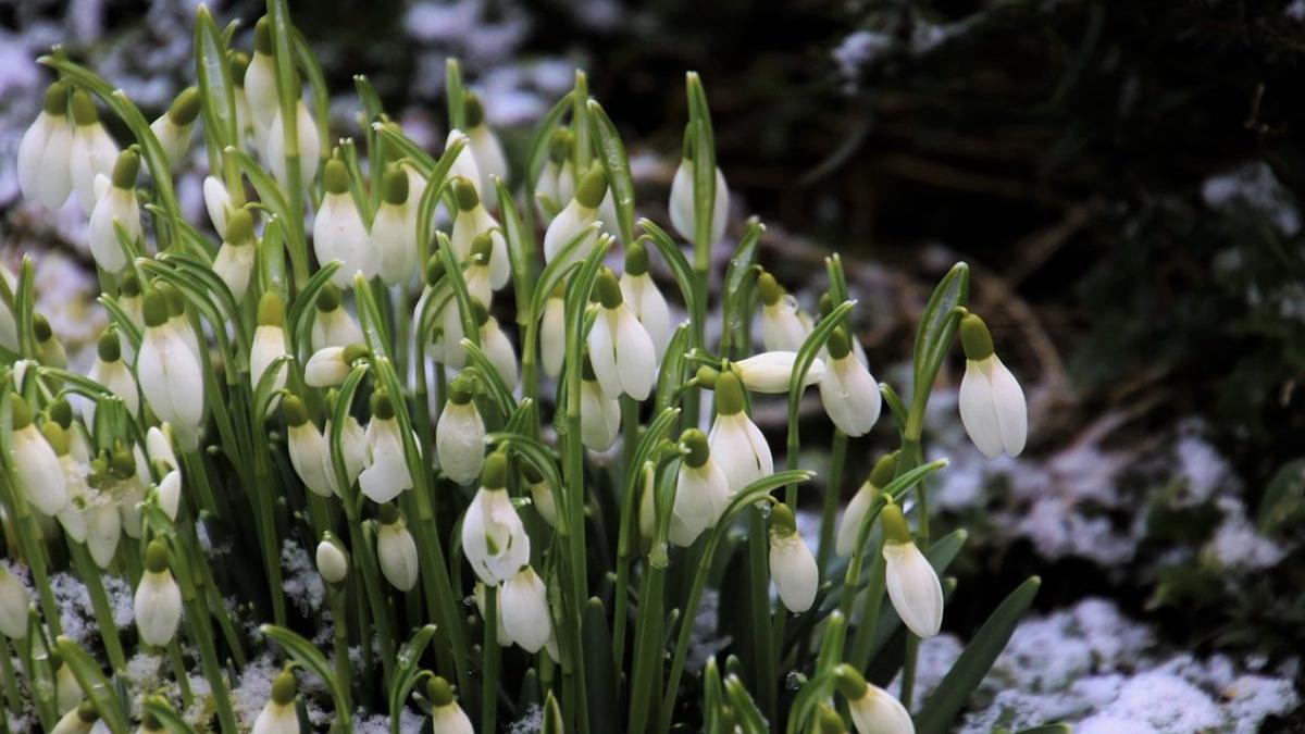 vremea in weekend surprize mari anuntate de meteorologi
