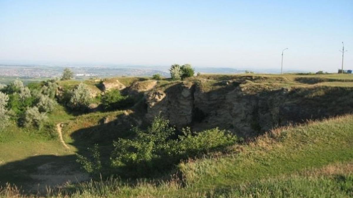 cercetatorii descoperire uluitoare pe dealul repedea din iasi au o vechime de cinci milioane de ani