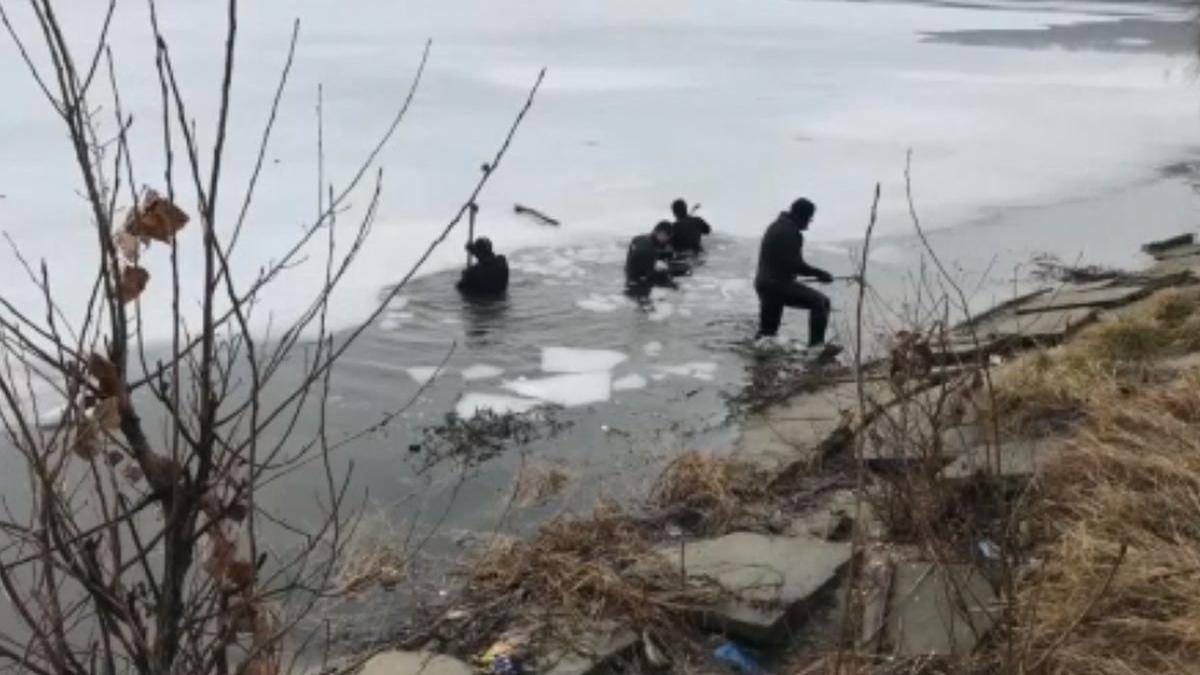 mai multe arme furate au fost gasite de politisti in lacul pantelimon video