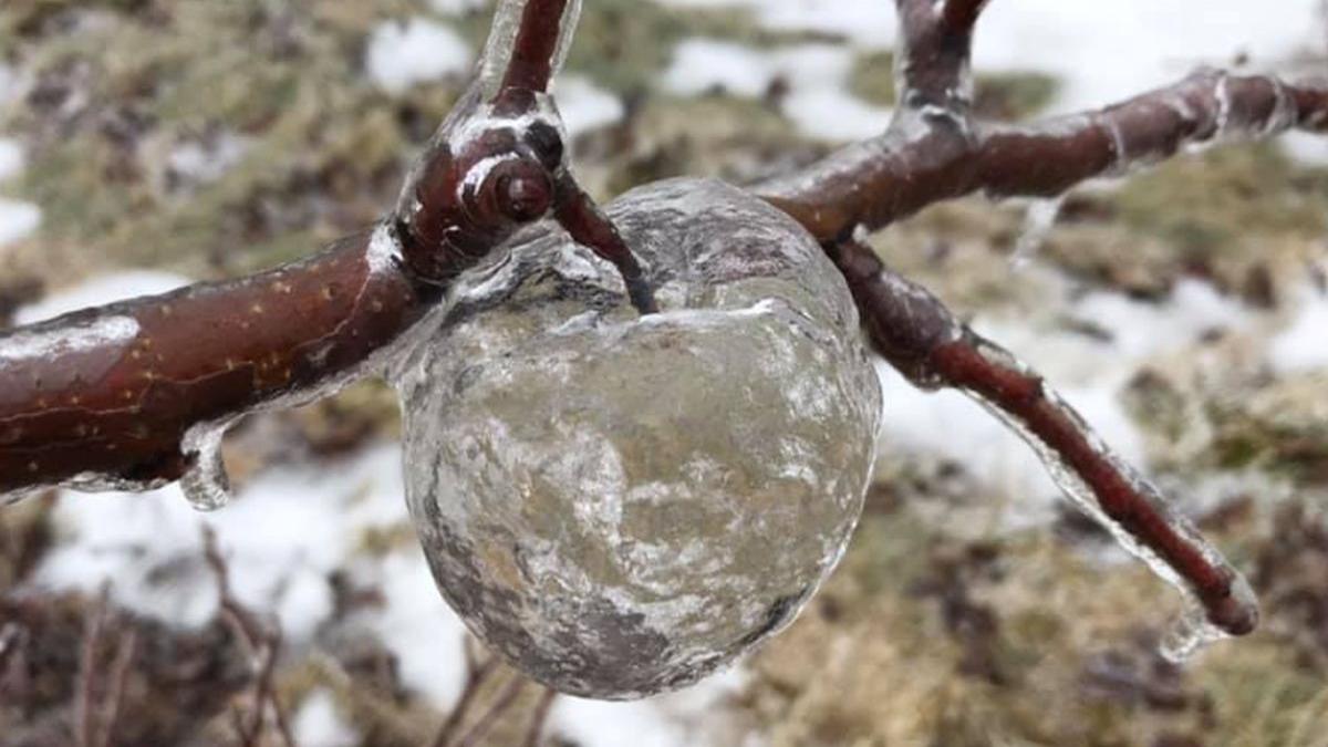 explicatia unui fenomen meteo ciudat surprins intr o livada din sua sunt mere fantoma