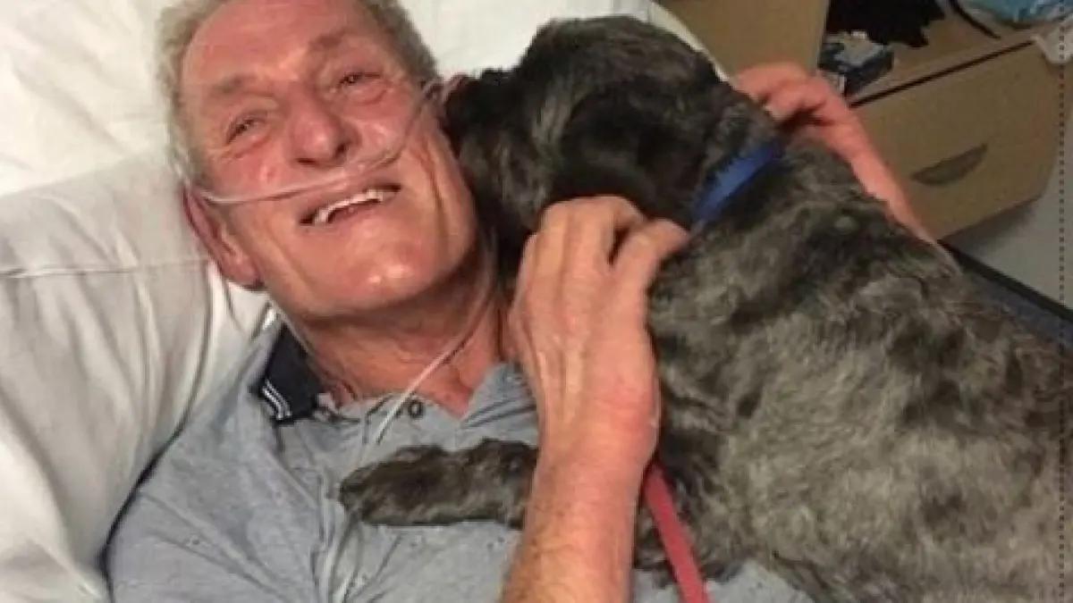 i au dat voie cainelui sa vina in salonul stapanului sau aflat in coma animalul a inceput sa latre