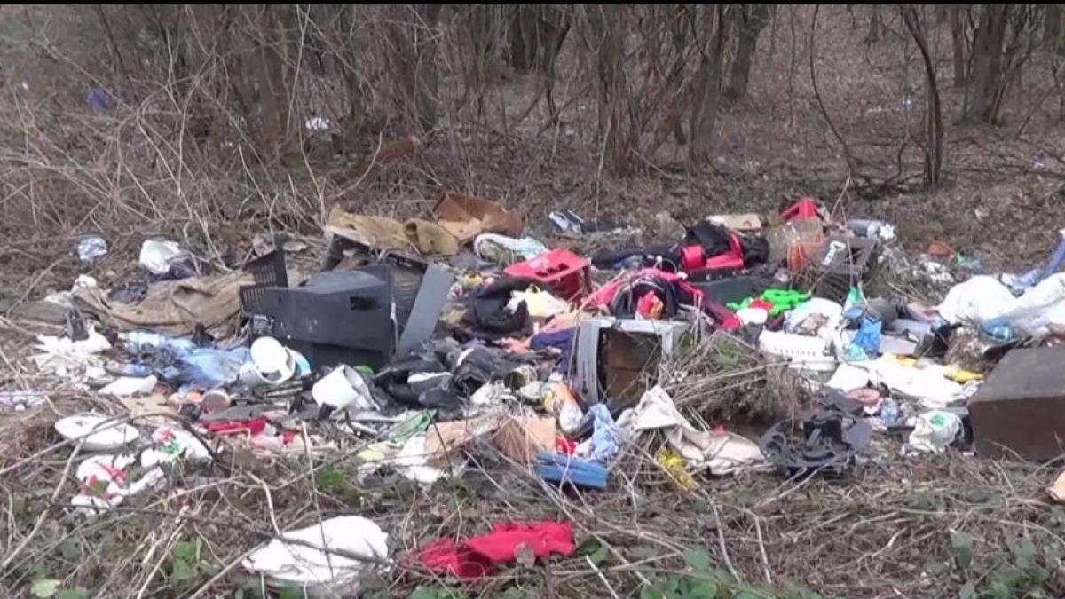padurea de langa manastirea bocsa impanzita de gunoaie