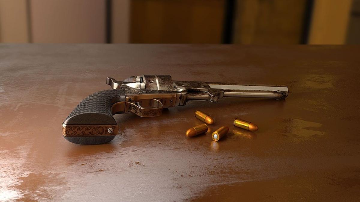 avea de ani de zile o arma letala in casa barbatul de 77 de ani din braila era fara griji cand a