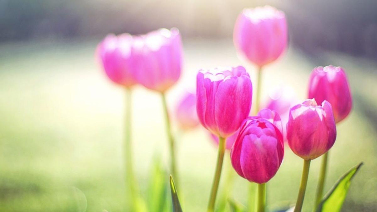 prognoza meteo cum va fi vremea pana sambata