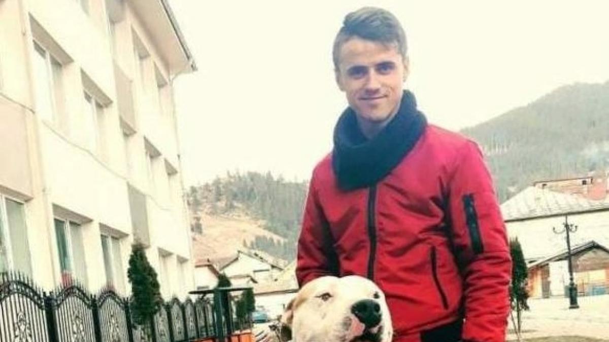 a fost identificat tanarul care si a pus dulaii amstaff sa incaiere un caine vagabond