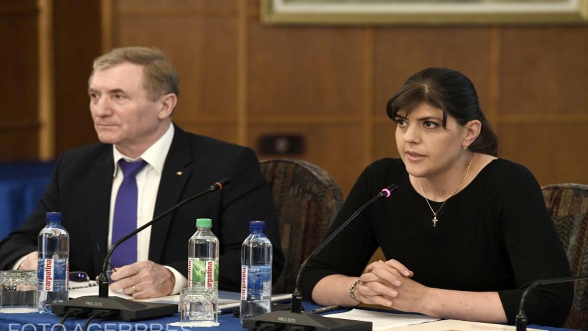 judecatoarea florica roman despre laura codruta kovesi si a atacat colegii care au citat o legal si