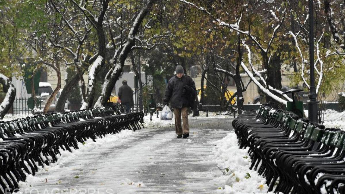 doi englezi au venit zilele trecute in romania in vacanta cand au intrat in parcul cismigiu au