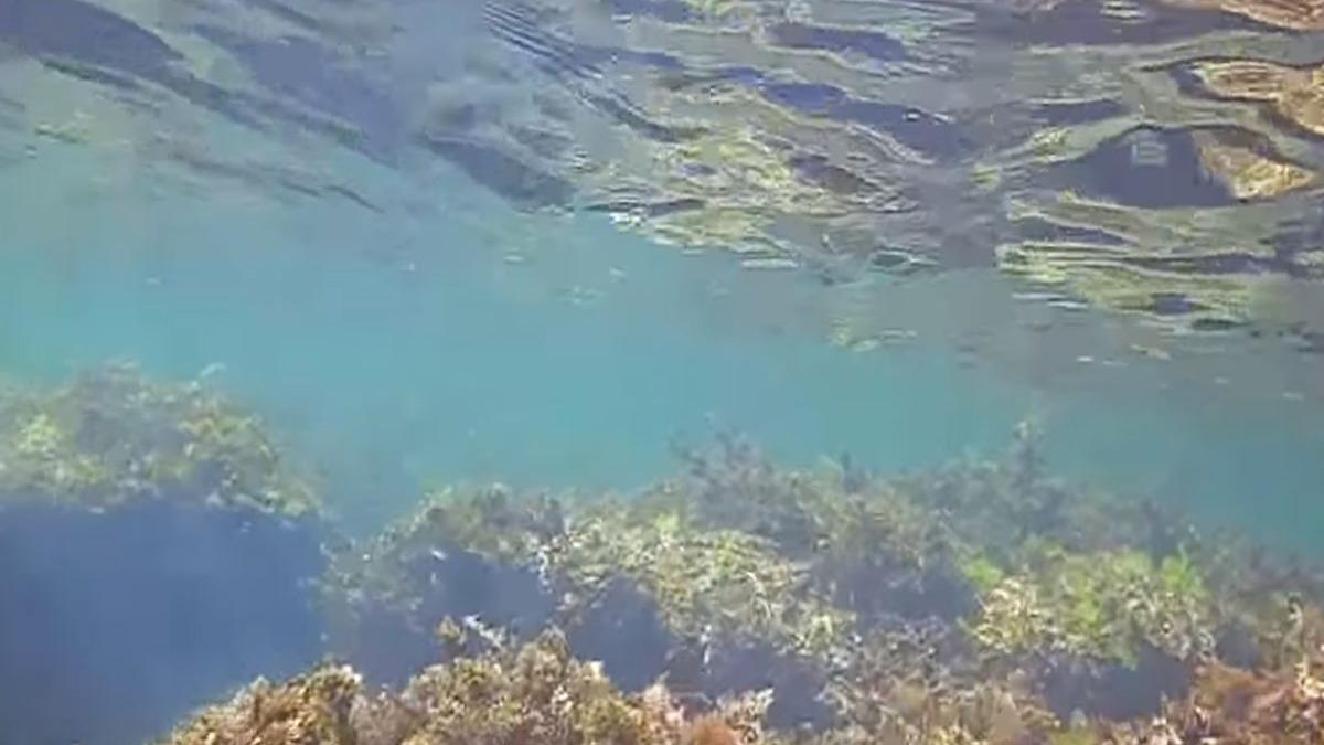 care este explicatia aparitiei raului din adancul marii negre