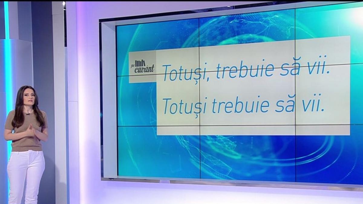 pe cuvant cu ana iorga cum se foloseste virgula corect in anumite contexte