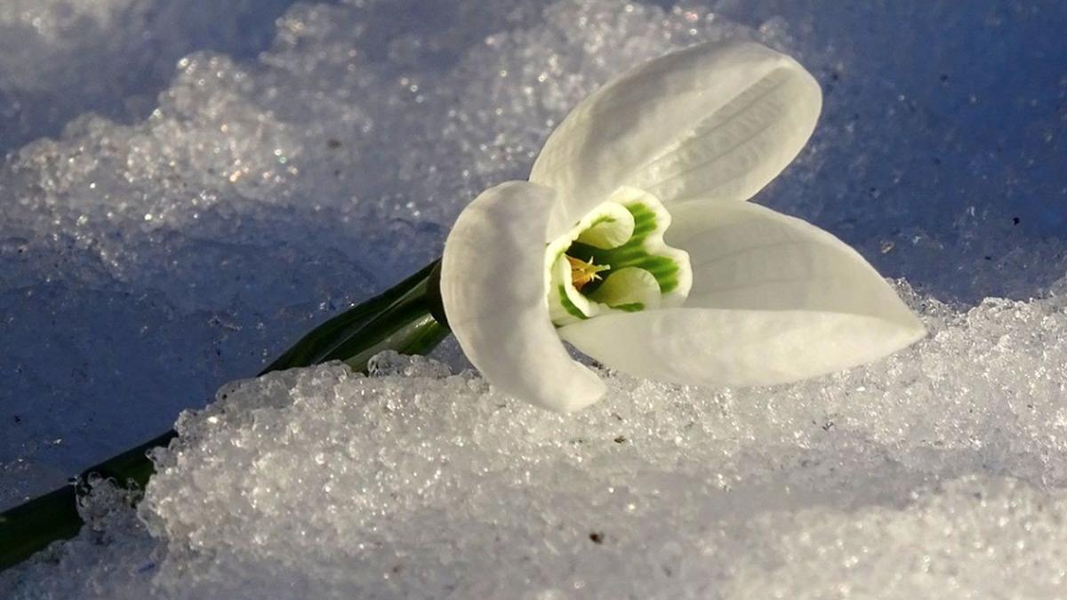 un val de aer polar se indreapta spre romania dupa cateva zile de primavara iarna va lovi in forta