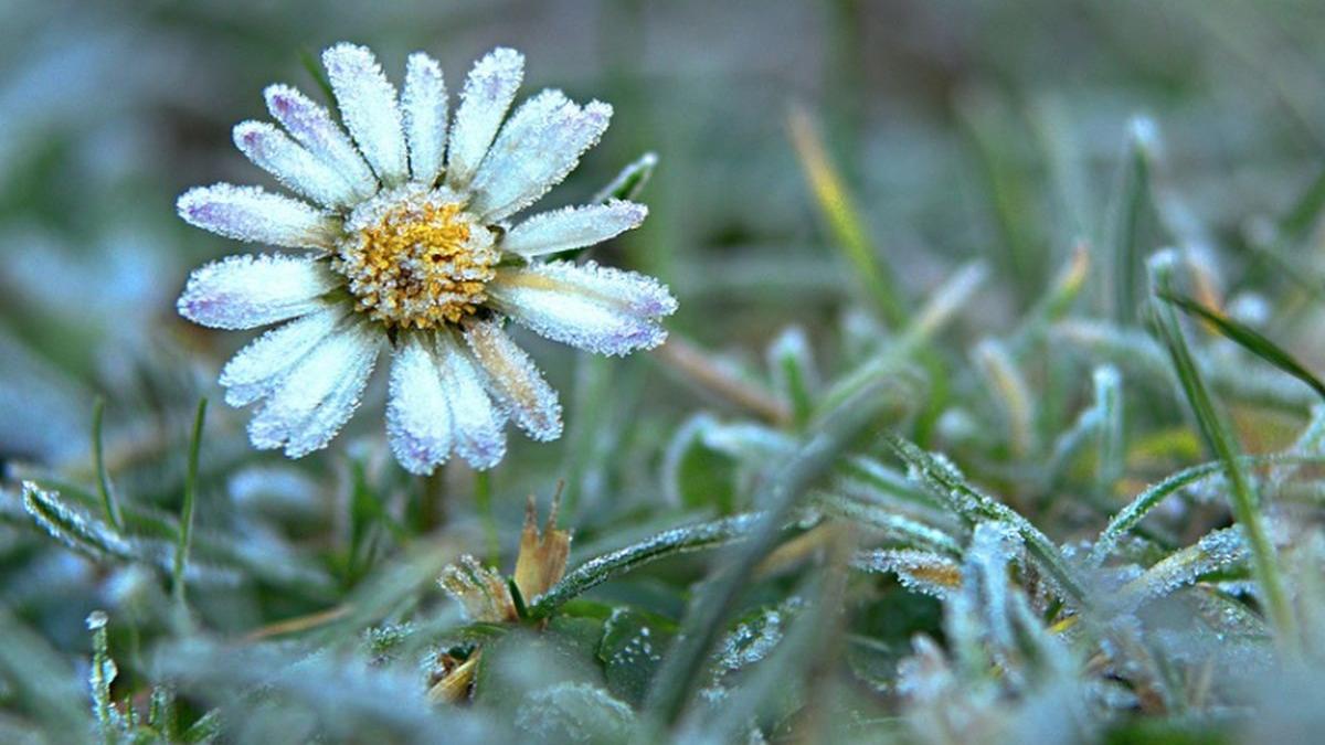 vremea se schimba brusc anuntul meteorologilor