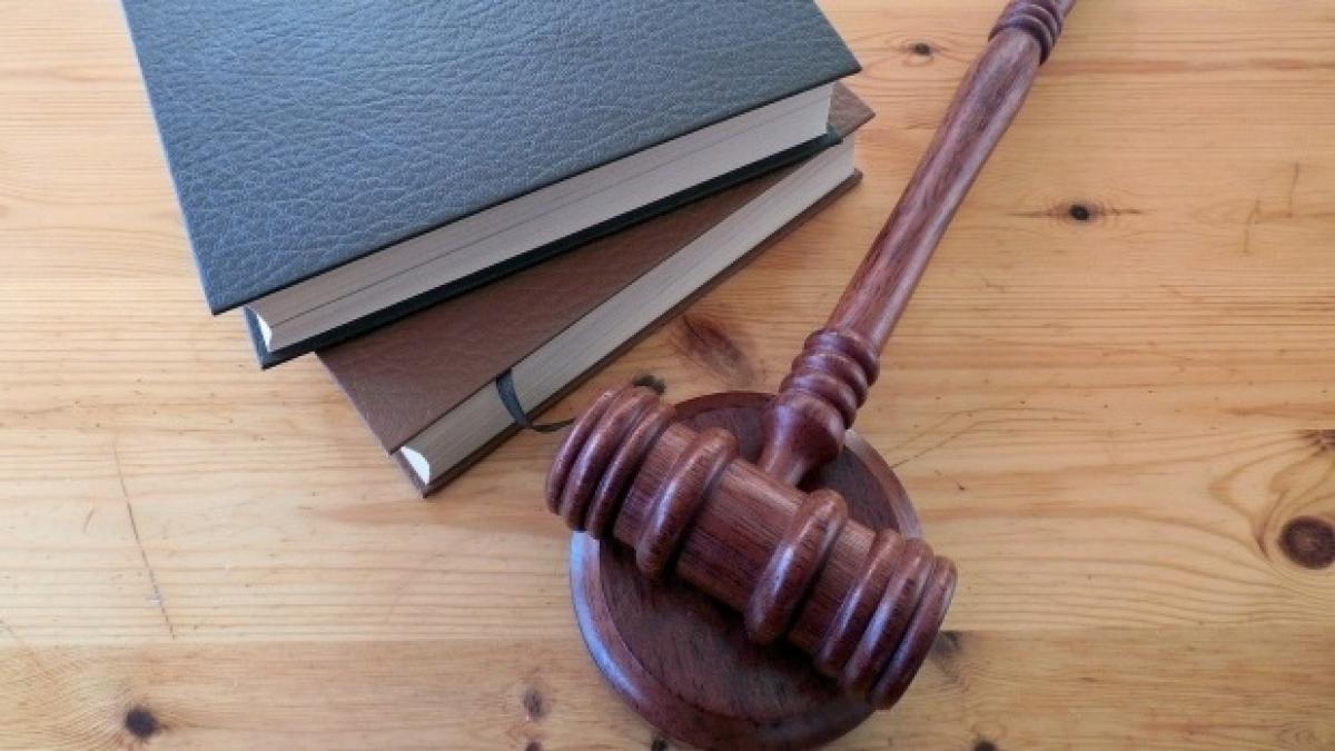 opinie de ionela lucan pute a bucata esuata de societate limitata reala vie parte si printre noi a