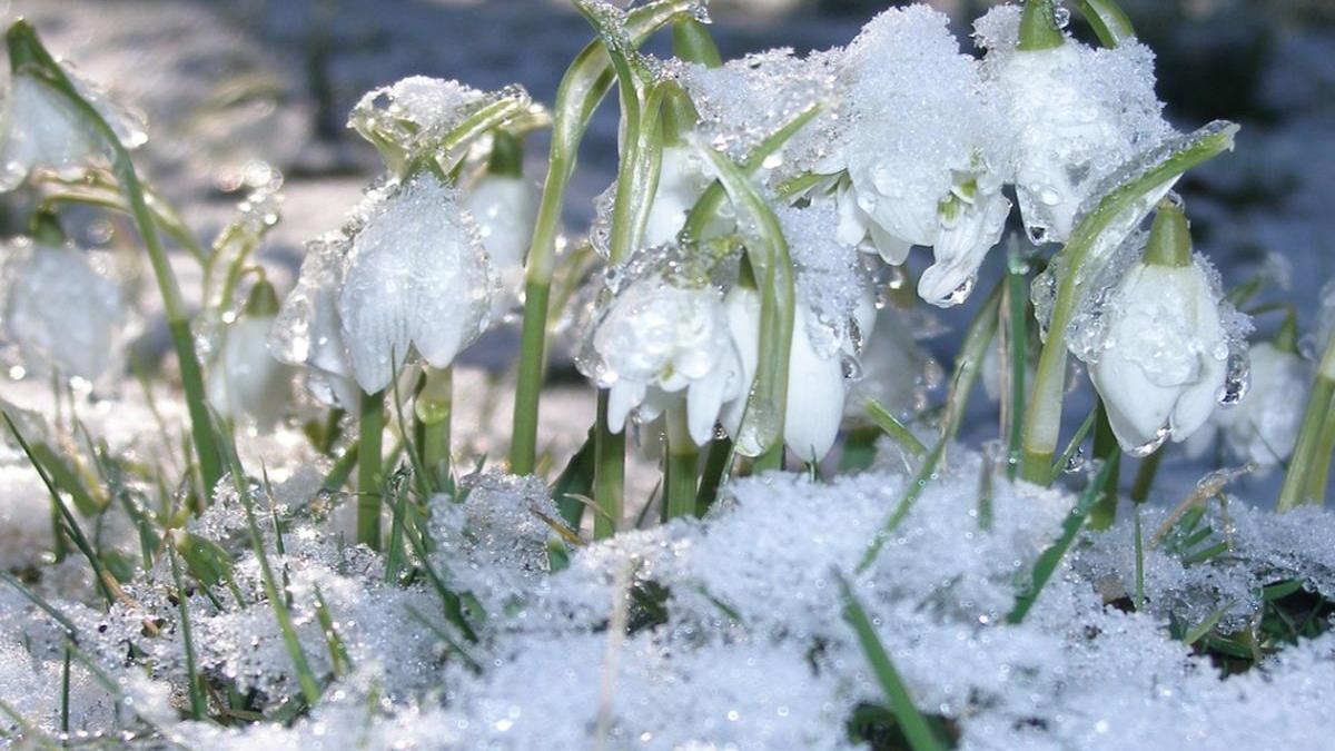 vremea se va raci accentuat prognoza meteo