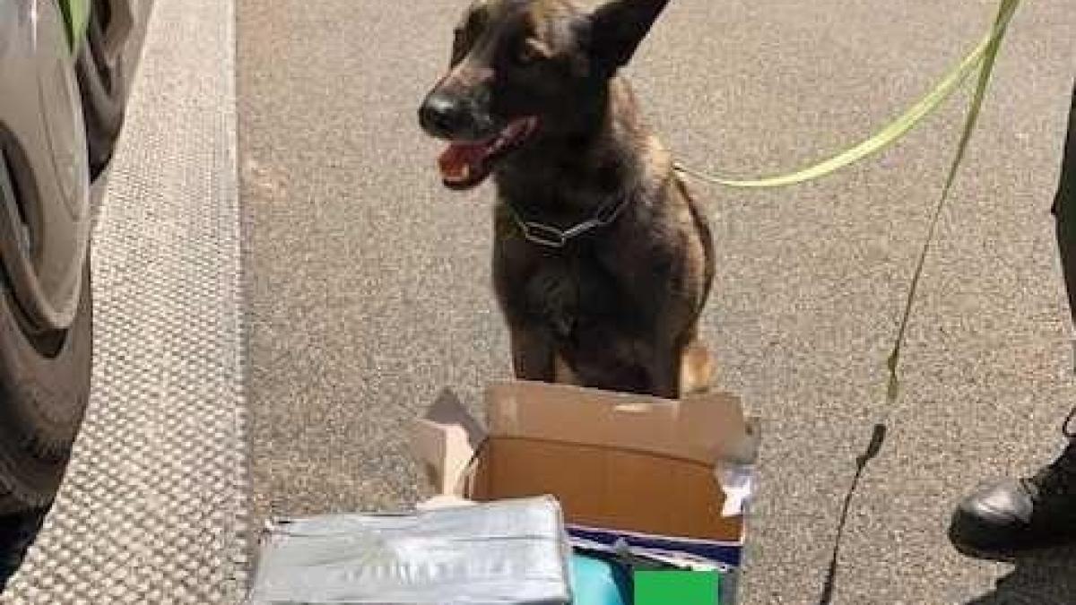 politia anunta o captura record de droguri erau vandute in special in cluburile de noapte din