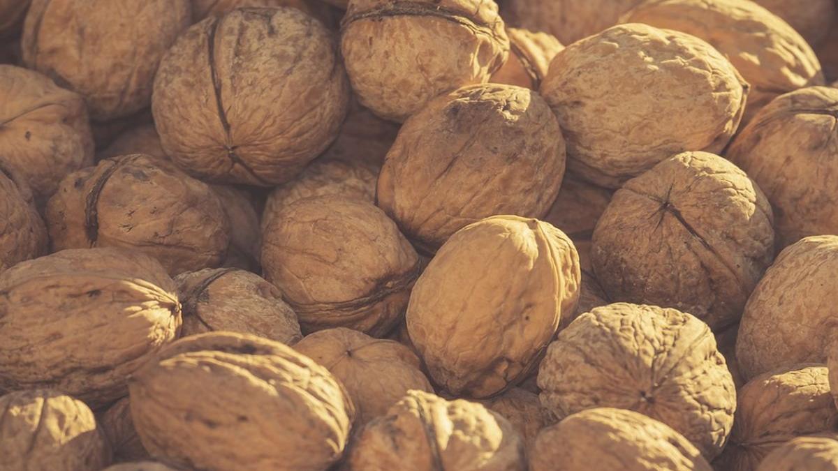totul despre afacerea cu nuci in romania profitul este urias