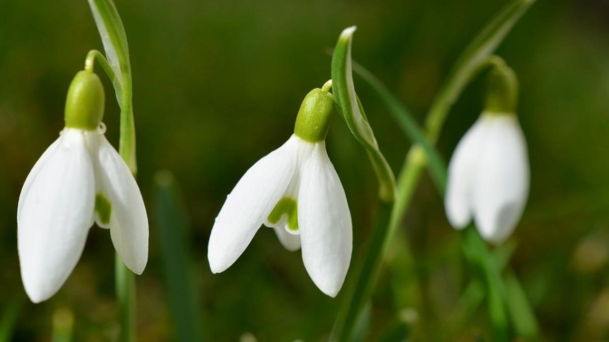 weekend geros in toata tara meteorologii vin insa cu vesti bune prognoza pana miercuri