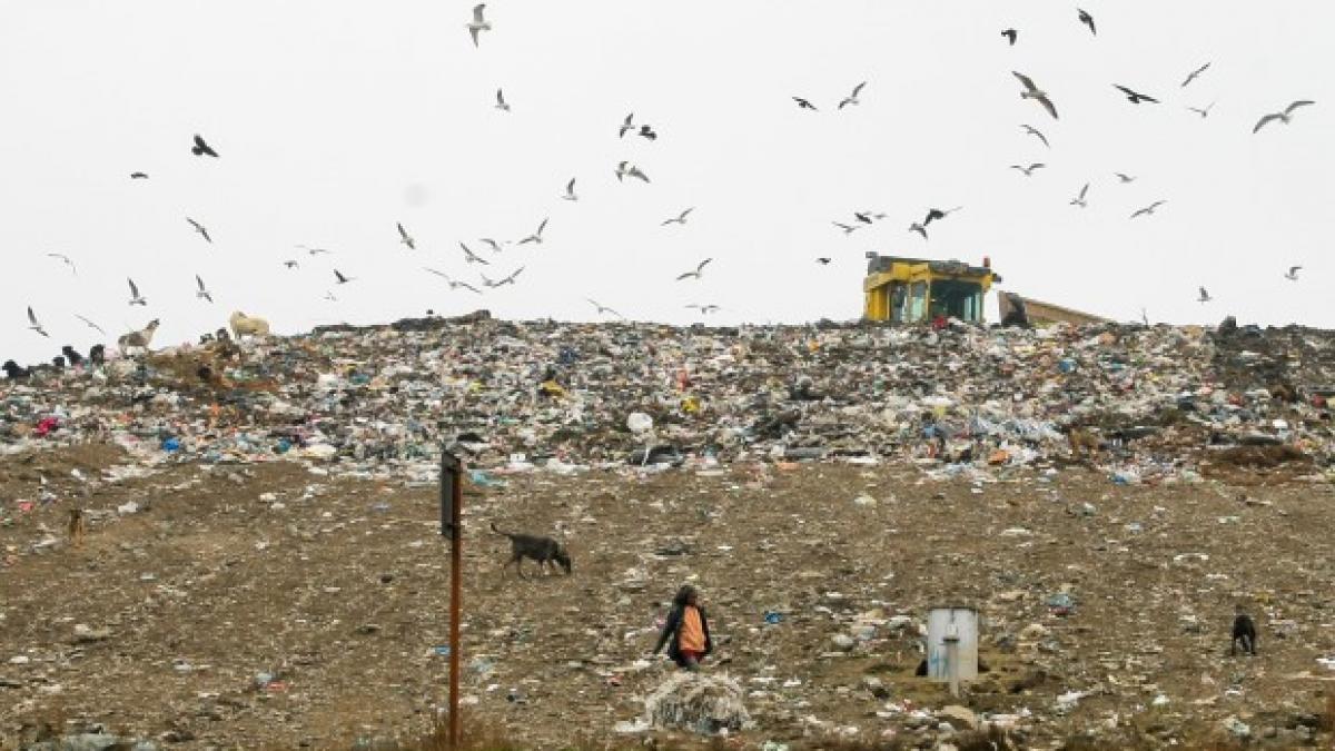 p raspunderea penala a directorului agentiei pentru protectia mediului ilfov si a directorului