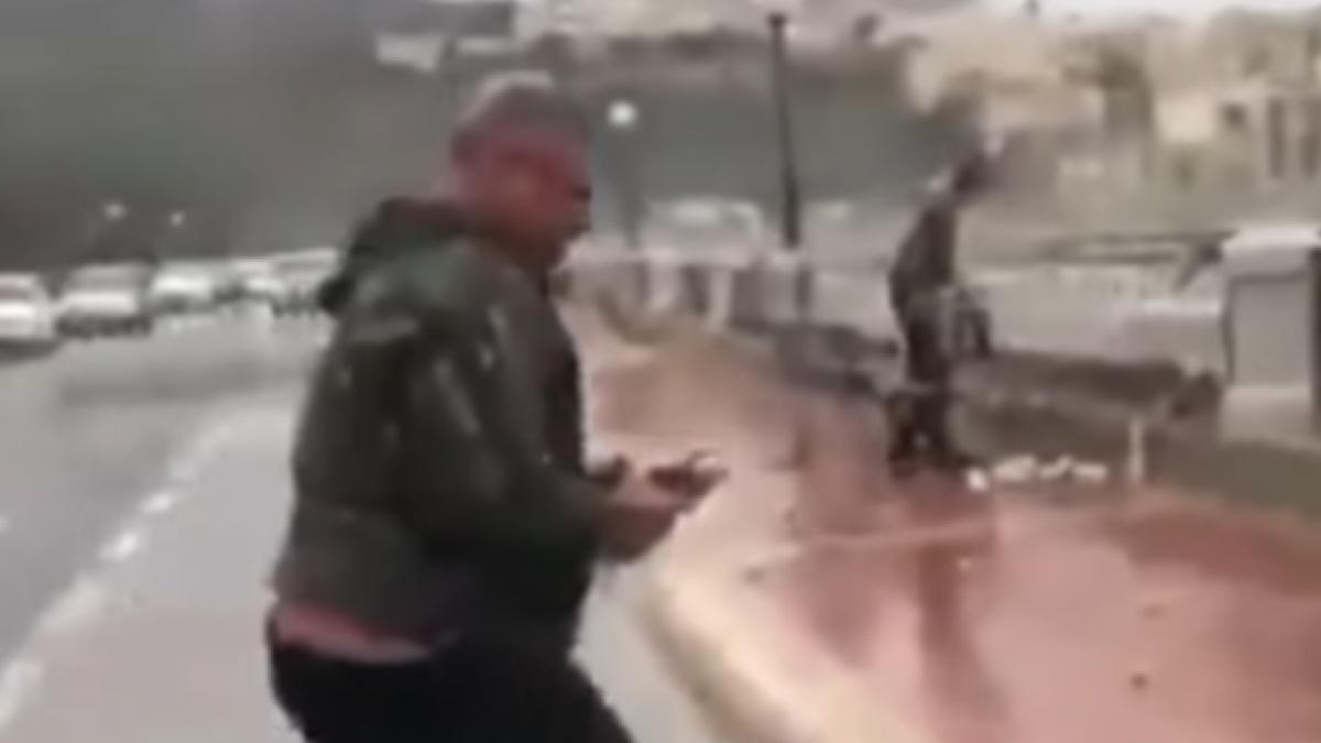 circula pe o strada aproape de plaja cand ceva i a aterizat pe parbriz a fost ca n biblie erau vii