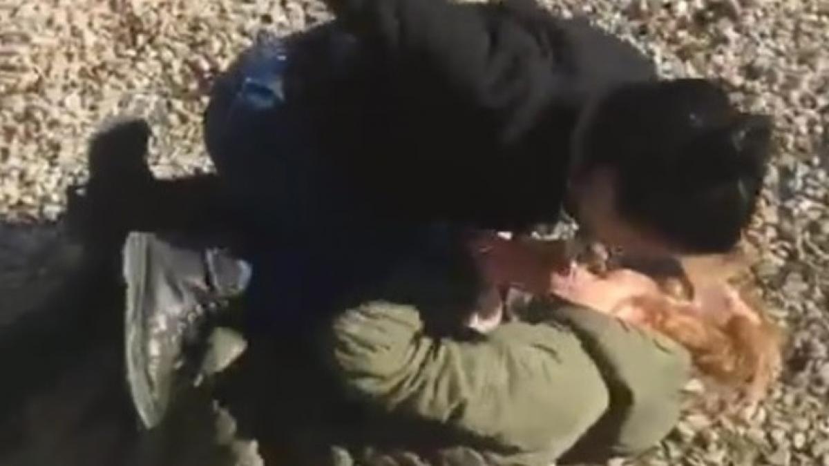 se plimba printr un parc din sibiu cand a vazut doua eleve facand ceva naucitor a scos telefonul si