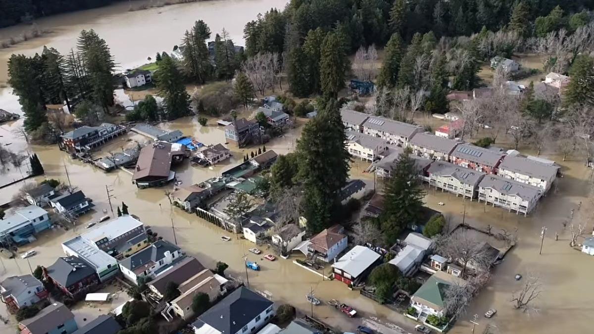 fenomenul in urma caruia un oras a devenit insula video