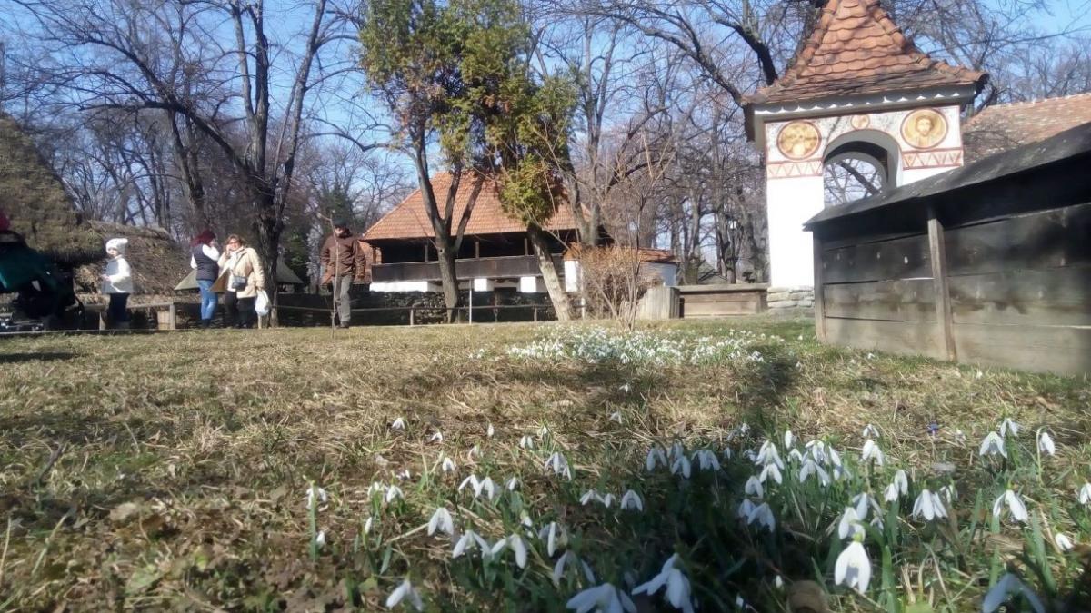 primavara incepe cu vreme schimbatoare