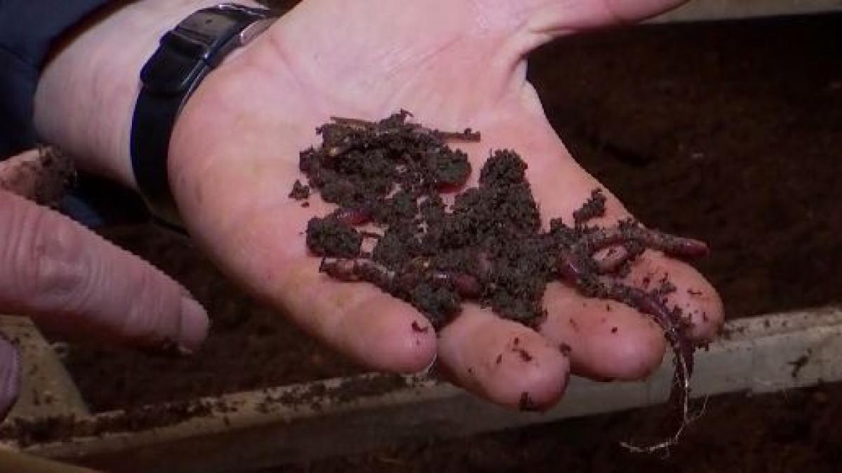 agricool 300 000 de euro investitia in ferma de rame