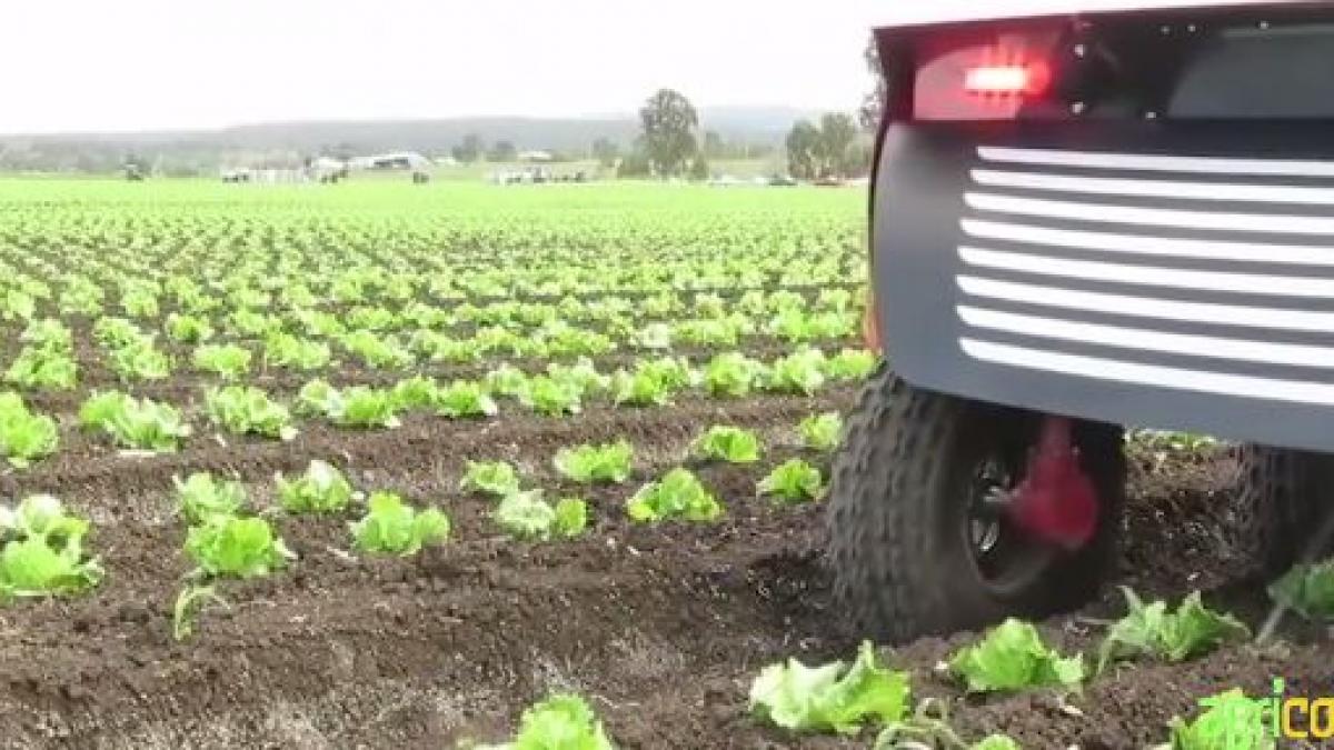 agricool noua era digitala un soc pentru fermieri