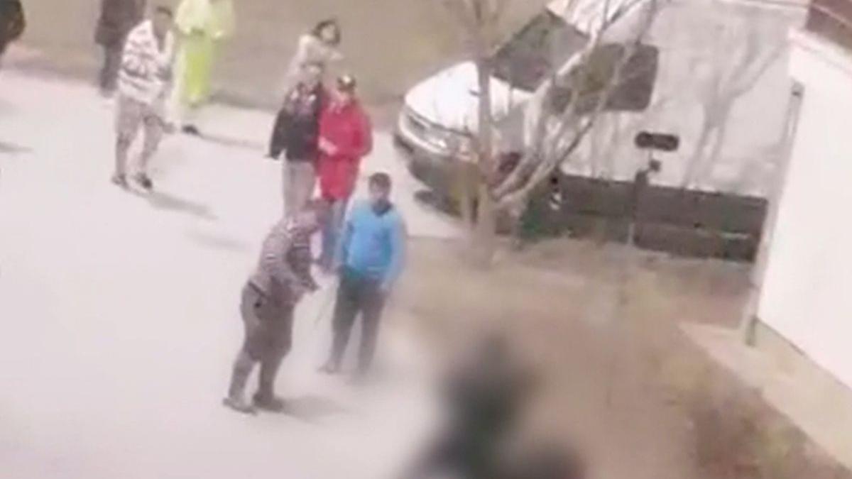 bataie violenta intre doua clanuri in plina strada la arad un politist care incerca sa i opreasca