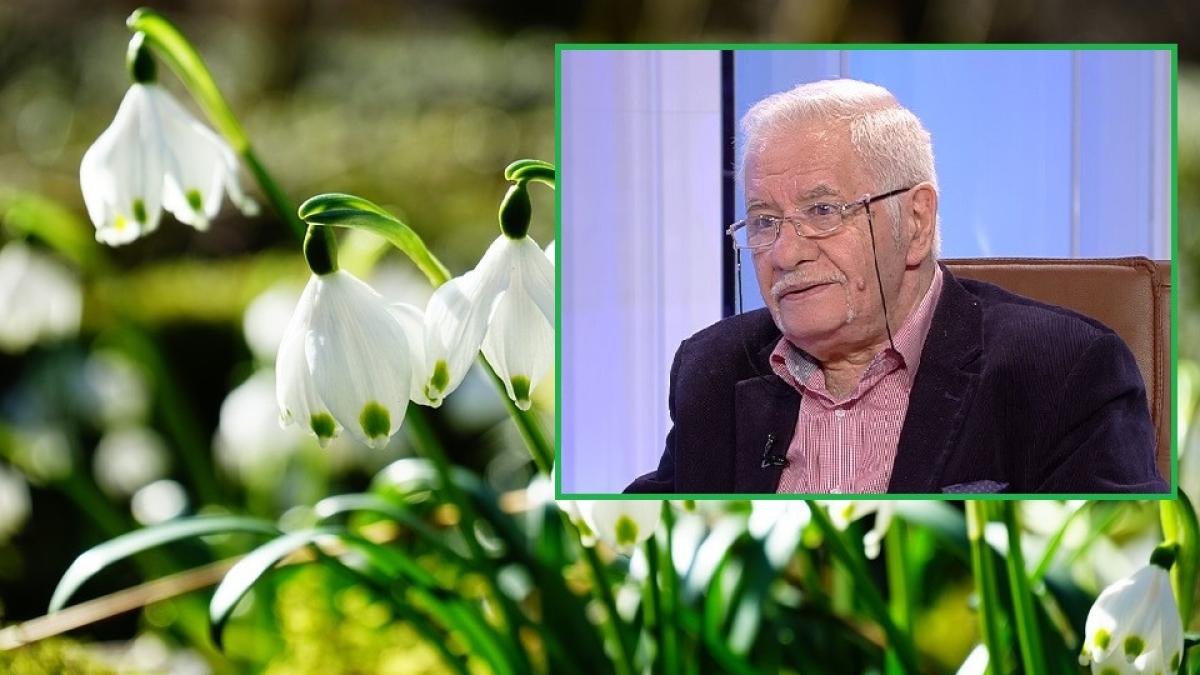 mihai voropchievici meteo din batrani pentru luna martie