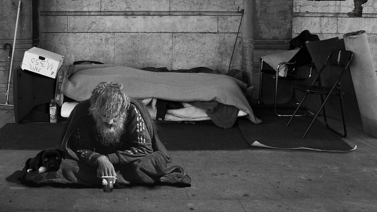 doi cersetori din ungaria au fost cautati de un avocat cand au auzit ce le a spus acesta au amutit