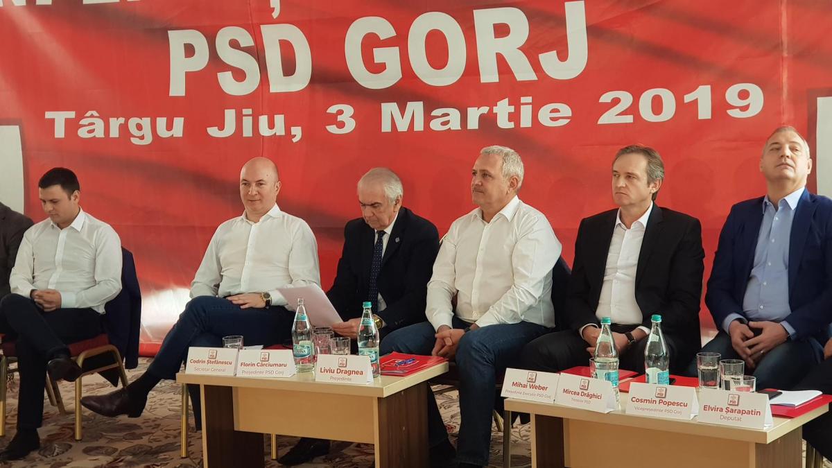 olguta vasilescu liviu dragnea pleaca cu prima sansa sa fie candidatul psd la alegerile