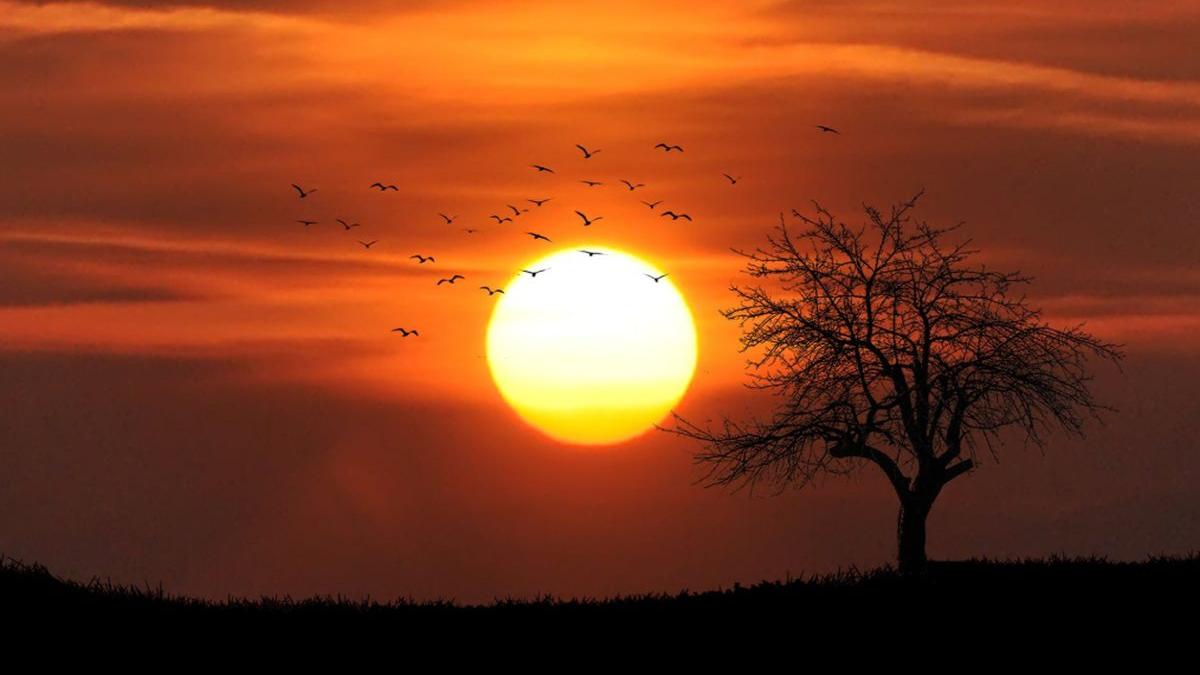 vremea se incalzeste considerabil vom avea temperaturi de peste 20 de grade celsius prognoza meteo