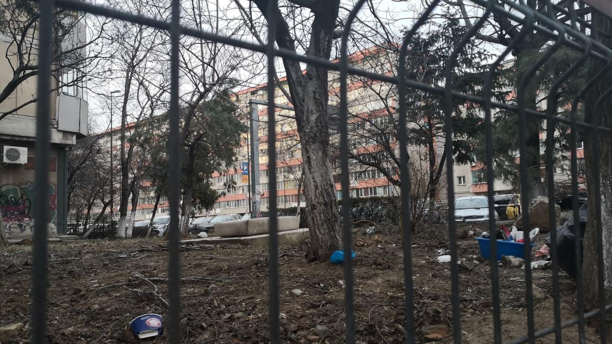 gabriela trecea pe un bulevard din centrul bucurestiului cand a crezut ca vede un pisoi cand s a