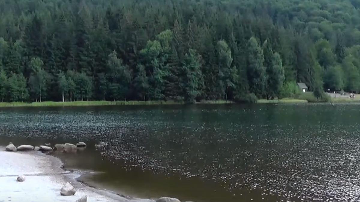 locul din romania unde oamenii stiu cu patru zile inainte cum va fi vremea