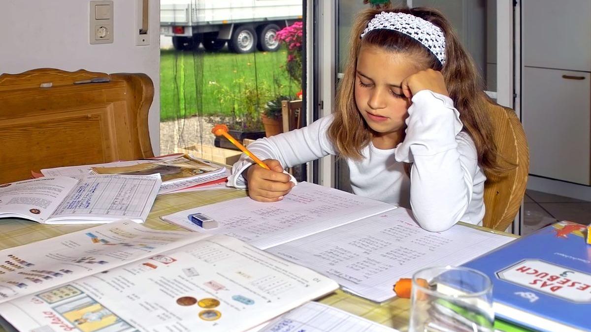 sindicalistii din invatamant il apara pe invatatorul care a bulversat un copil cu termenul patinuar