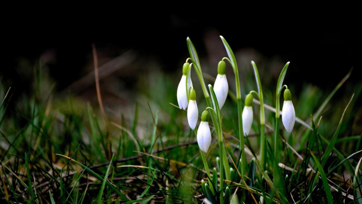 vremea prognoza meteo pentru 5 martie vesti extraordinare de la meteorologi